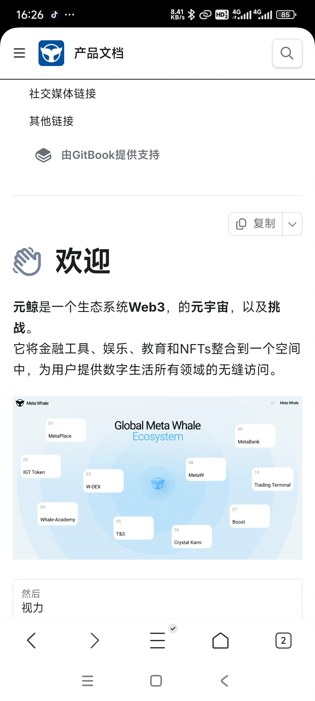元鲸鱼?白皮书①