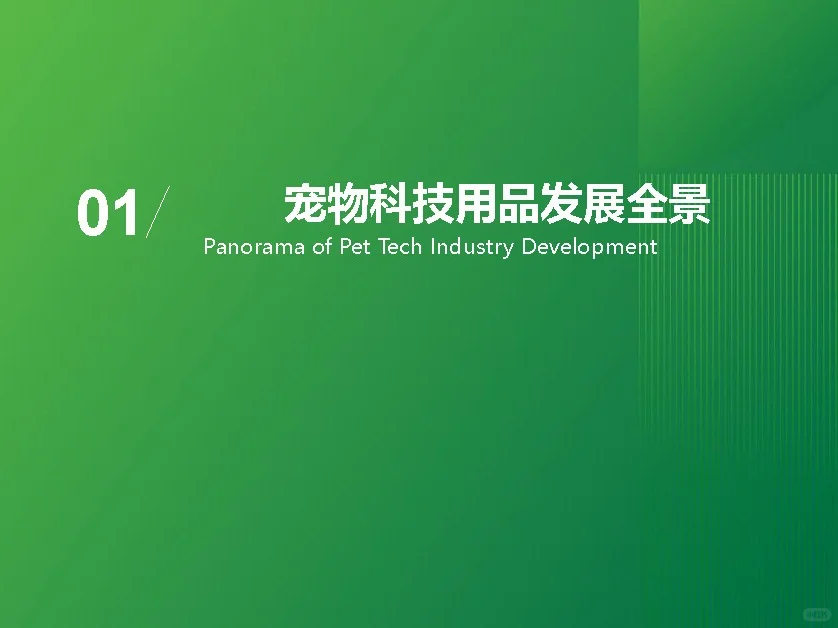 【2025宠物科技用品发展研究白皮书】共37页