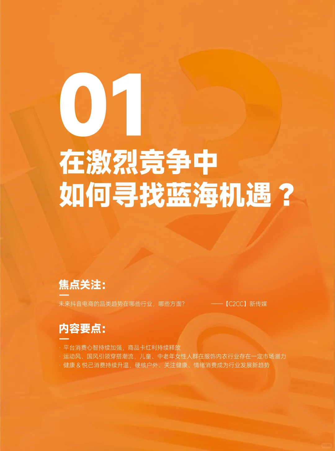 2024年电商年报报告