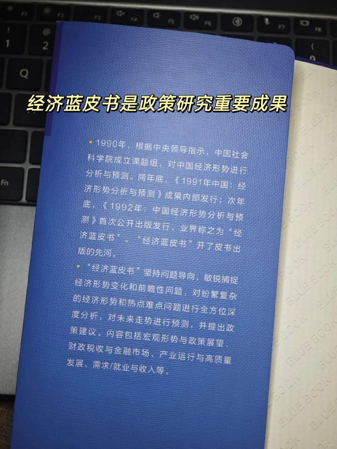 2025经济蓝皮书滚烫出炉，干货满满