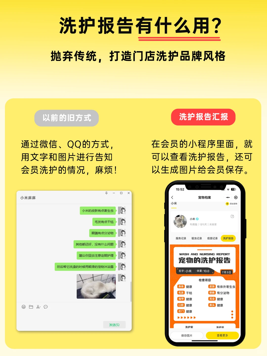 宠物店做完洗护服务后，还能这样做报告？