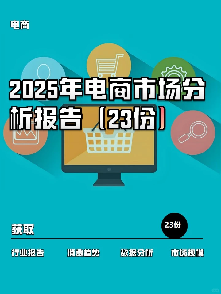 2025年电商市场分析报告（23份）