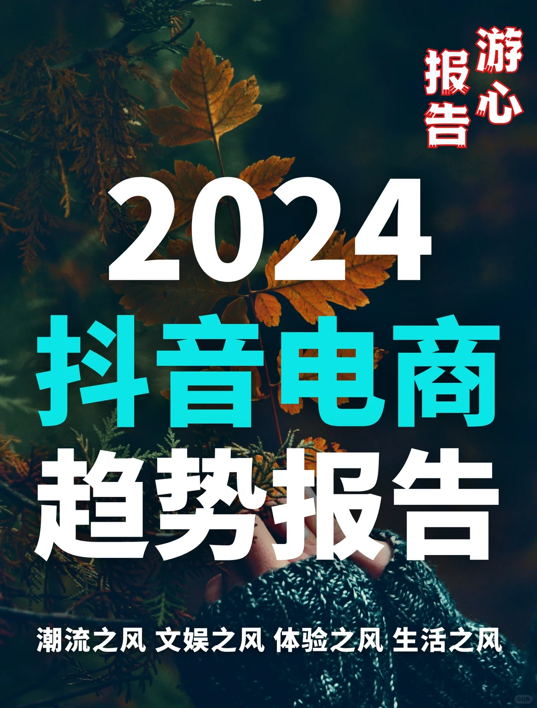 79页报告｜2024抖音电商趋势报告