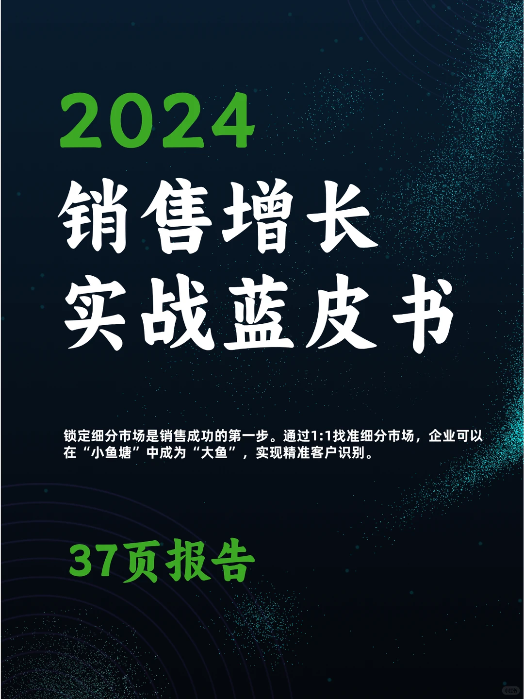 2024销售增长实战蓝皮书