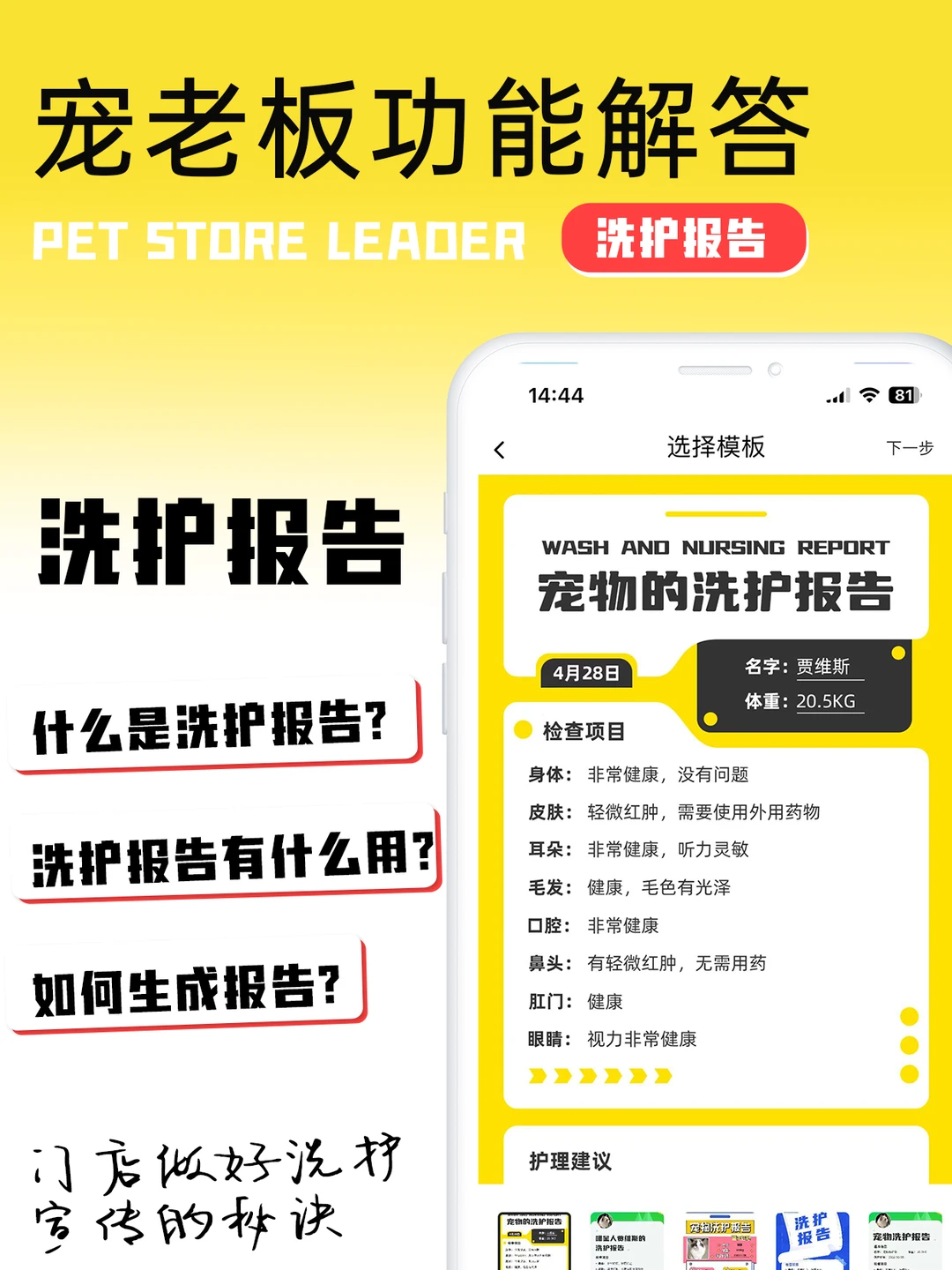 宠物店做完洗护服务后，还能这样做报告？