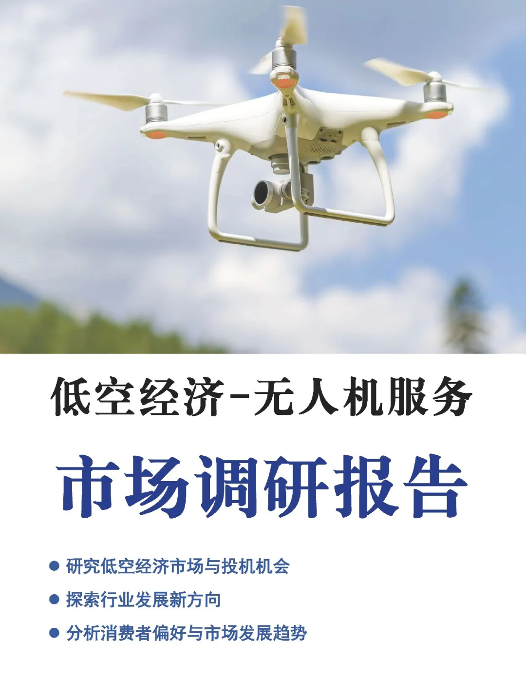 低空经济无人机服务市场调研报告基本框架