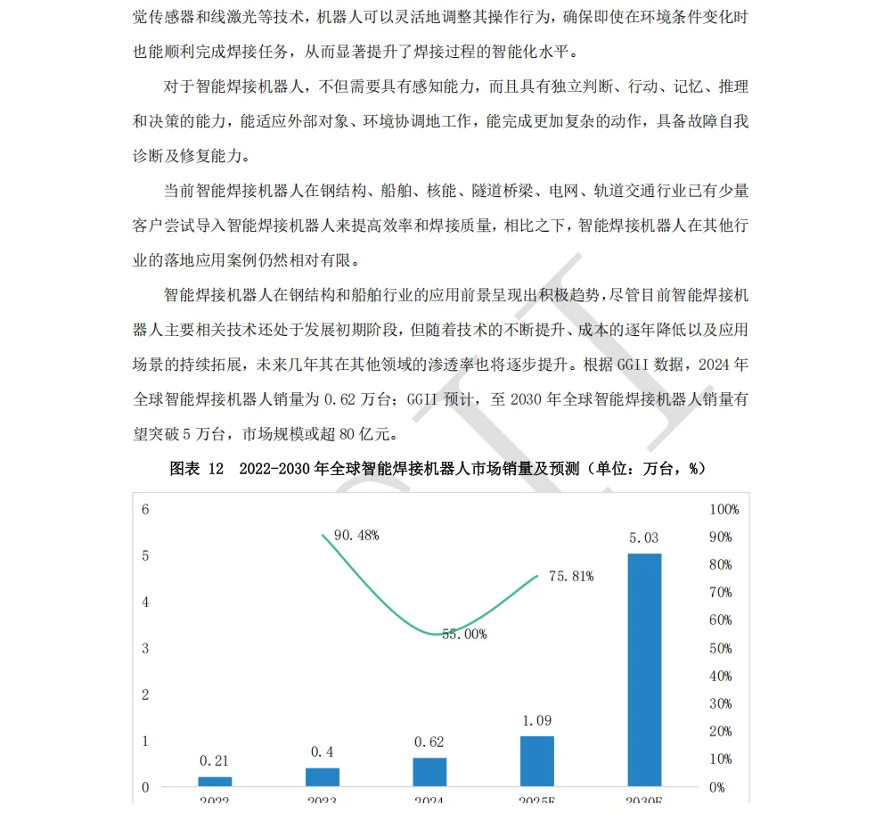 2025智能焊接机器人产业发展蓝皮书