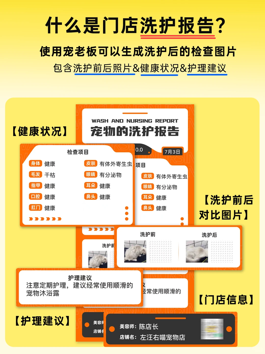 宠物店做完洗护服务后，还能这样做报告？