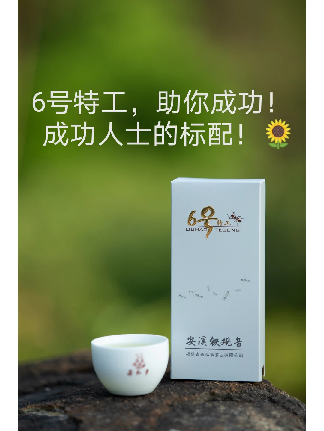 2022茶行业分析报告