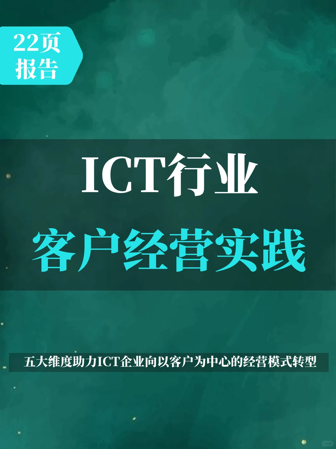2025年ICT行业客户经营实践蓝皮书