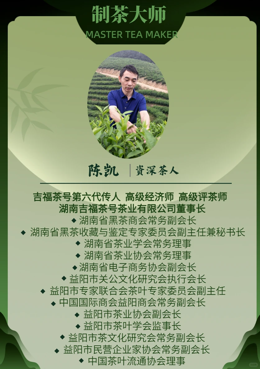 吉福金珠，驻华使节商务联盟指定茶礼！