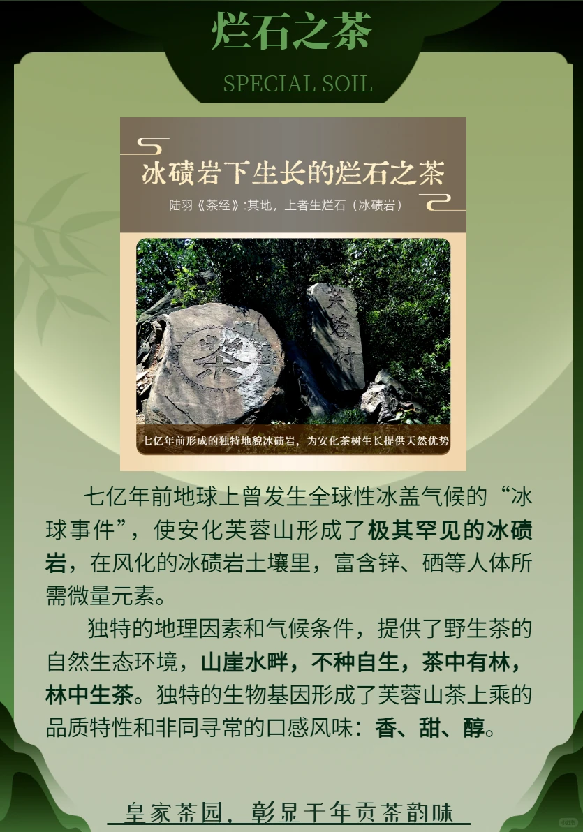 吉福金珠，驻华使节商务联盟指定茶礼！