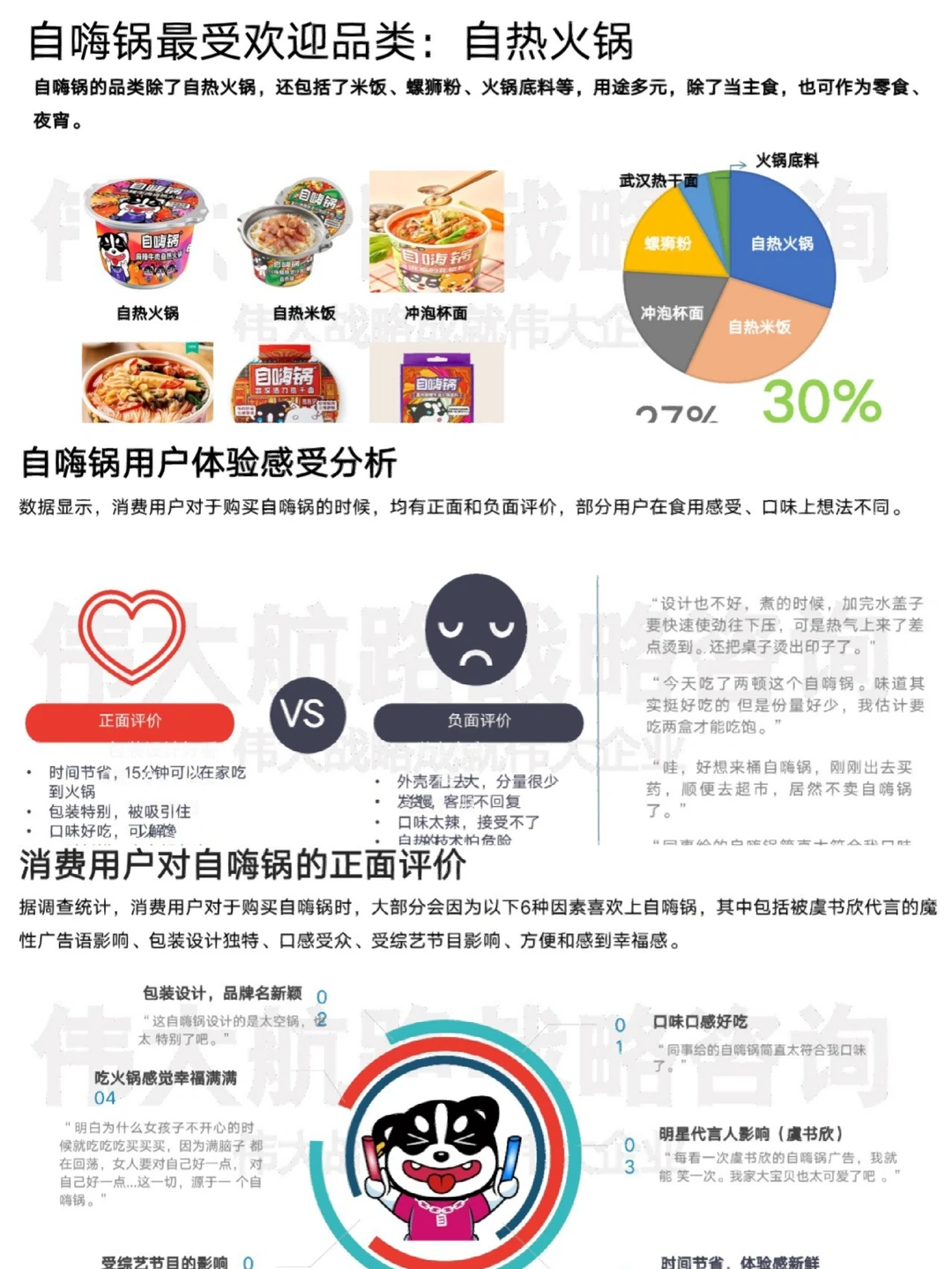 你能做用户分析吗？自嗨锅用户研究报告