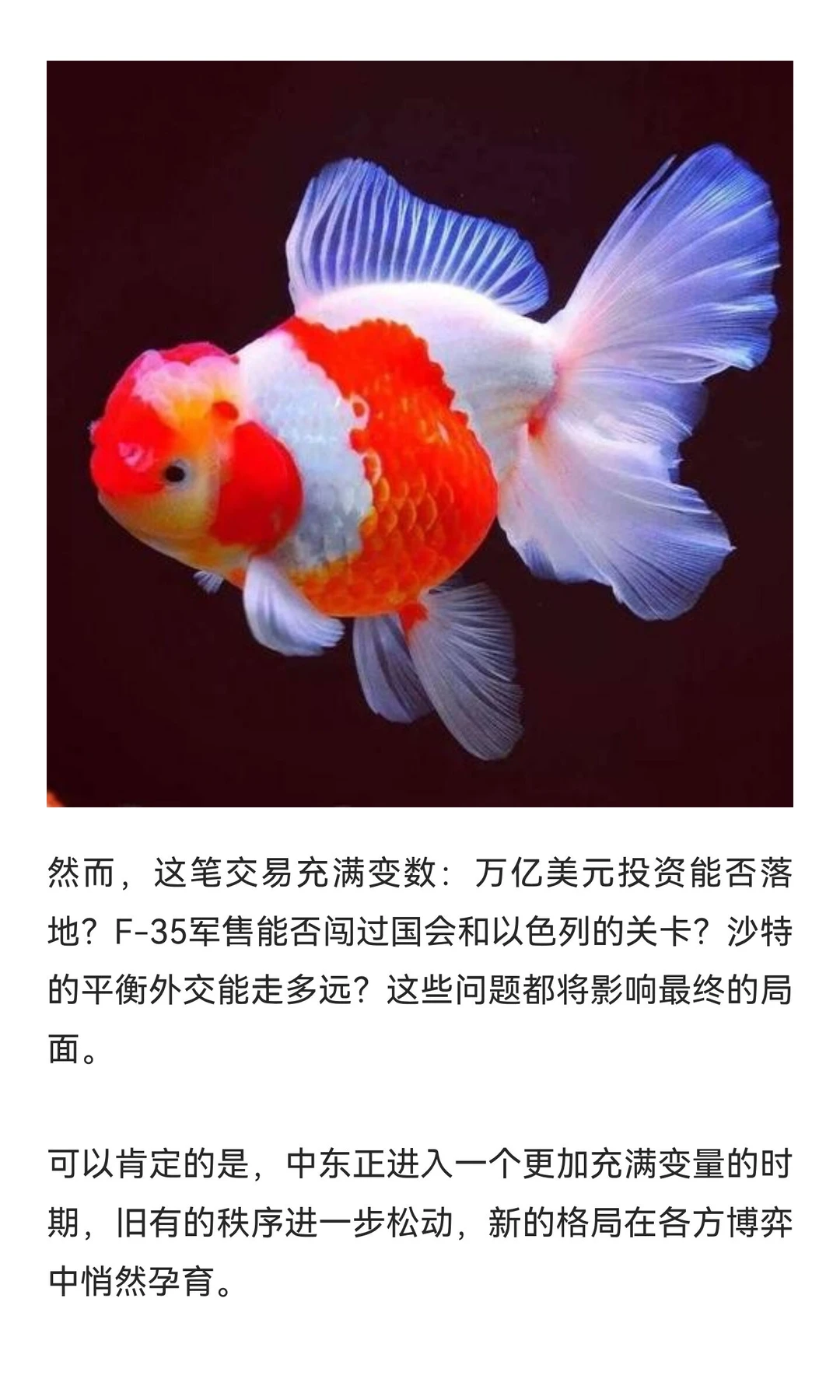 美沙利益捆绑与中东格局新变量