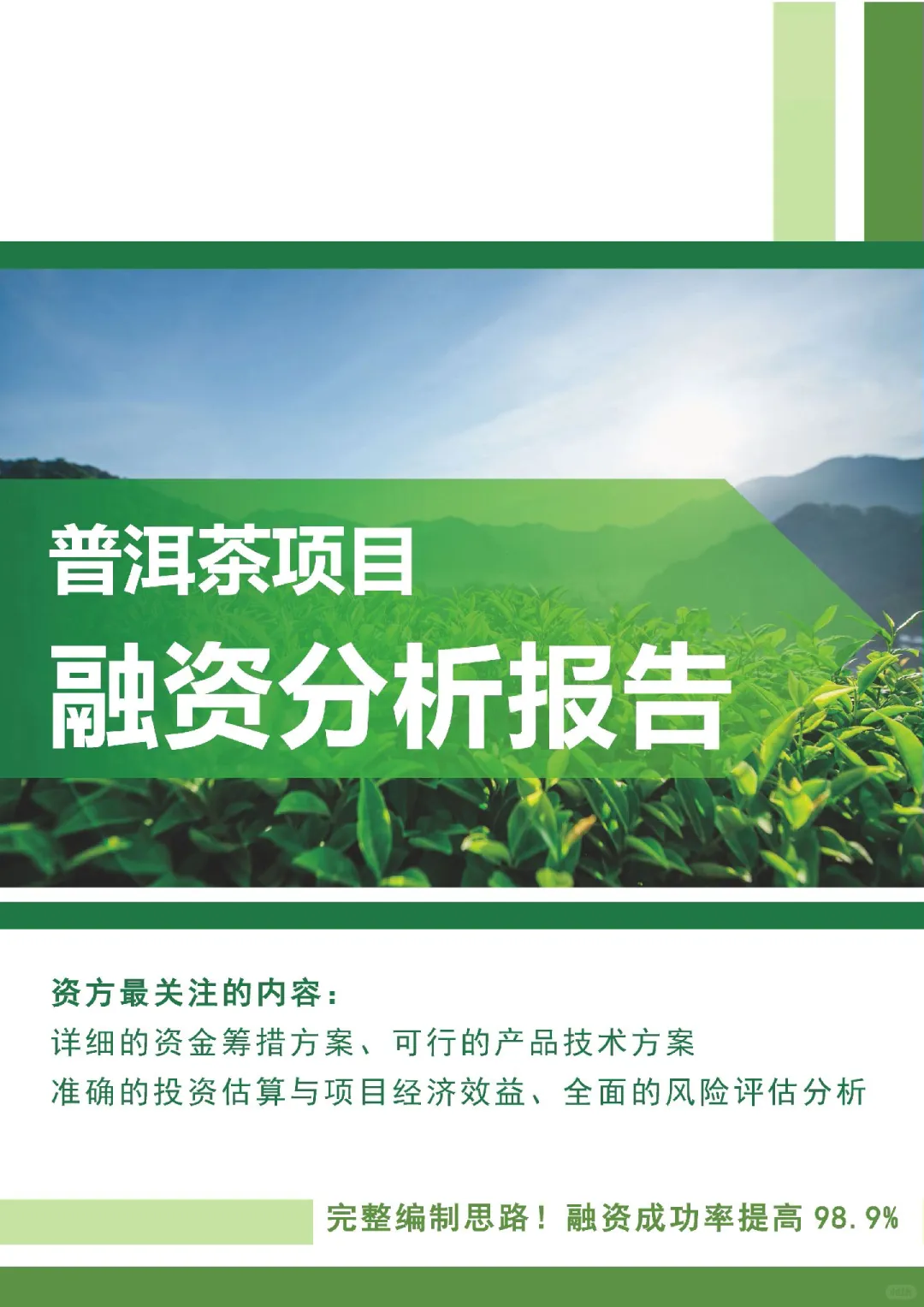 项目融资分析报告，资方看重的要点是什么