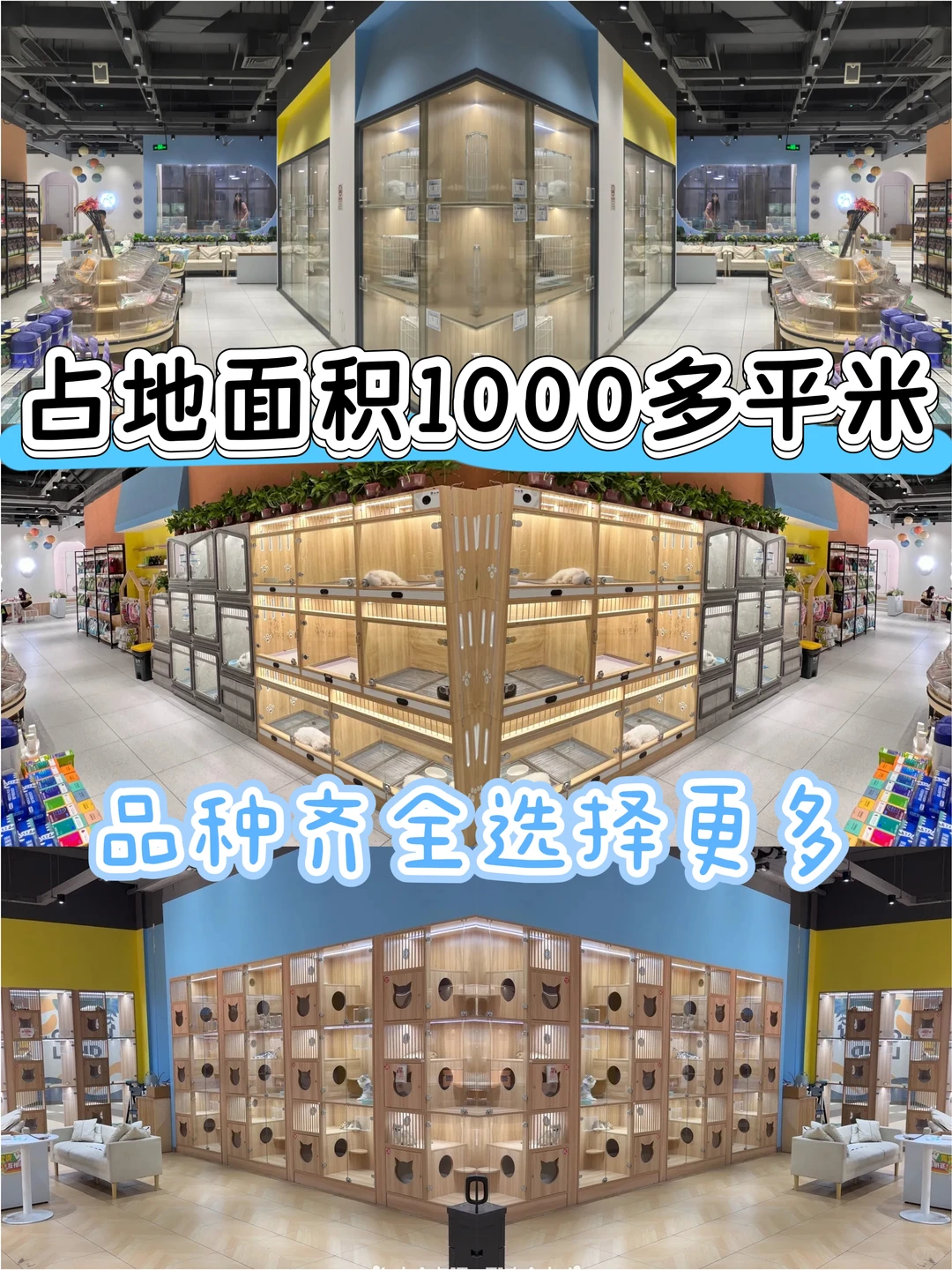 这是一家您绝对会爱上的宠物基地!来看看吧