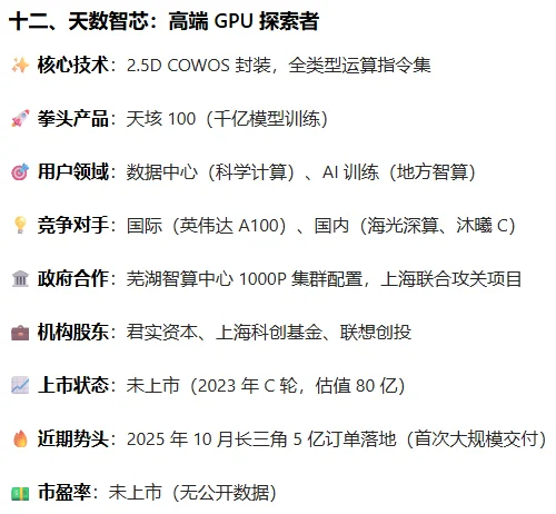 国产 GPU 厂商竞争力评价分析