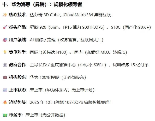 国产 GPU 厂商竞争力评价分析
