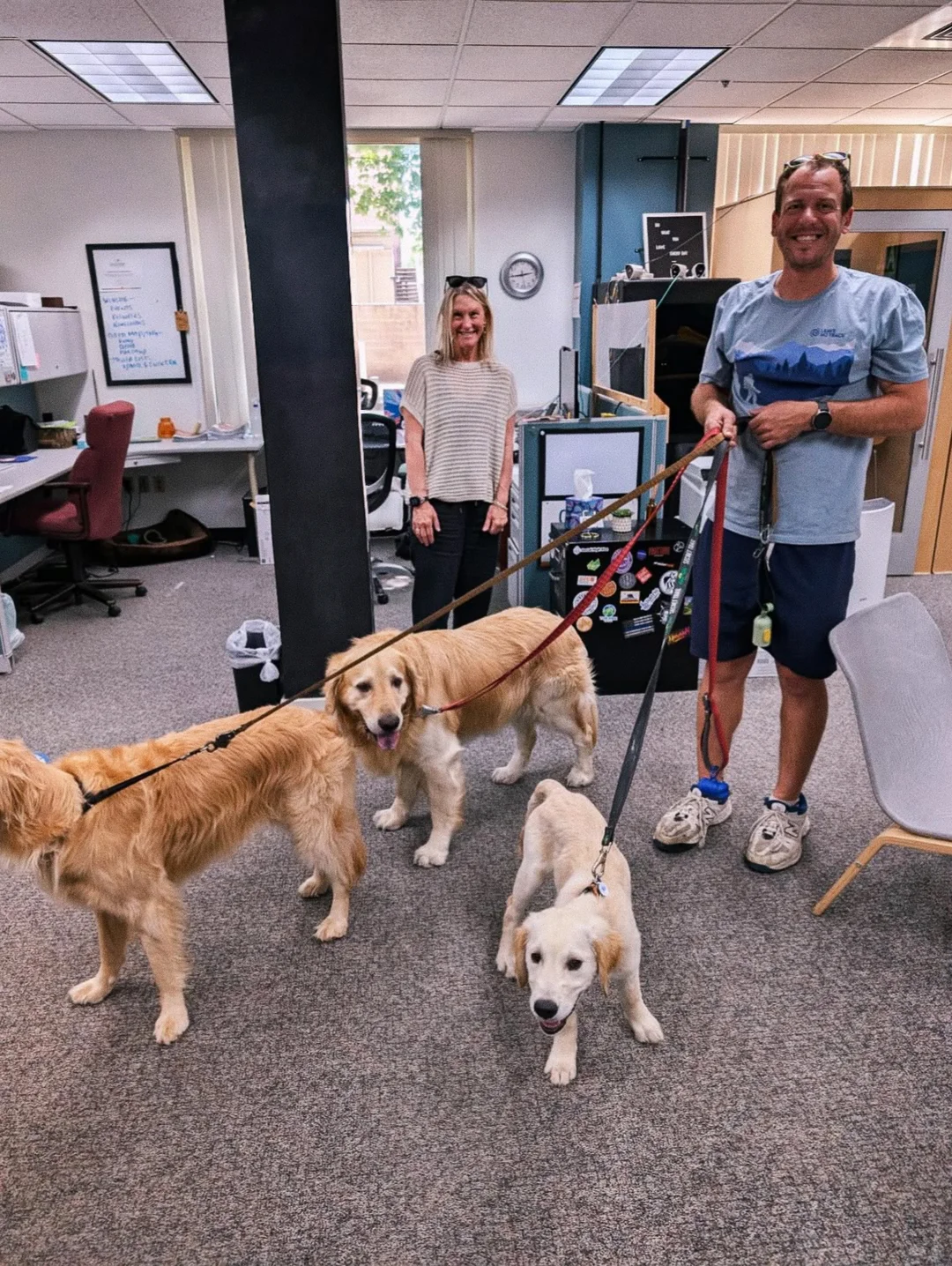 聊聊在美国宠物厂做DS的情况,长期refer