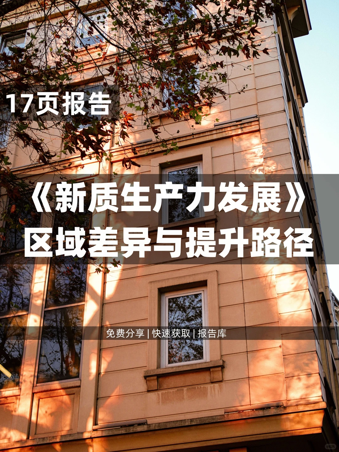 17页 | 新质生产力发展区域差异与提升路径