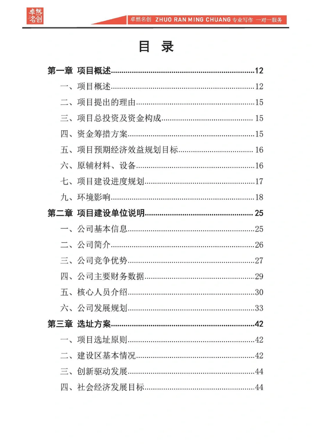 项目融资分析报告，资方看重的要点是什么