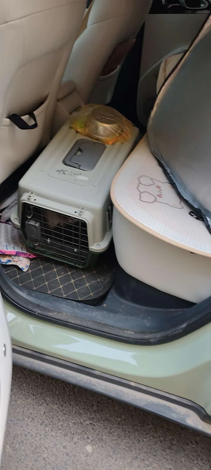 宠物托运被问爆了有多香→千万别在花冤枉钱