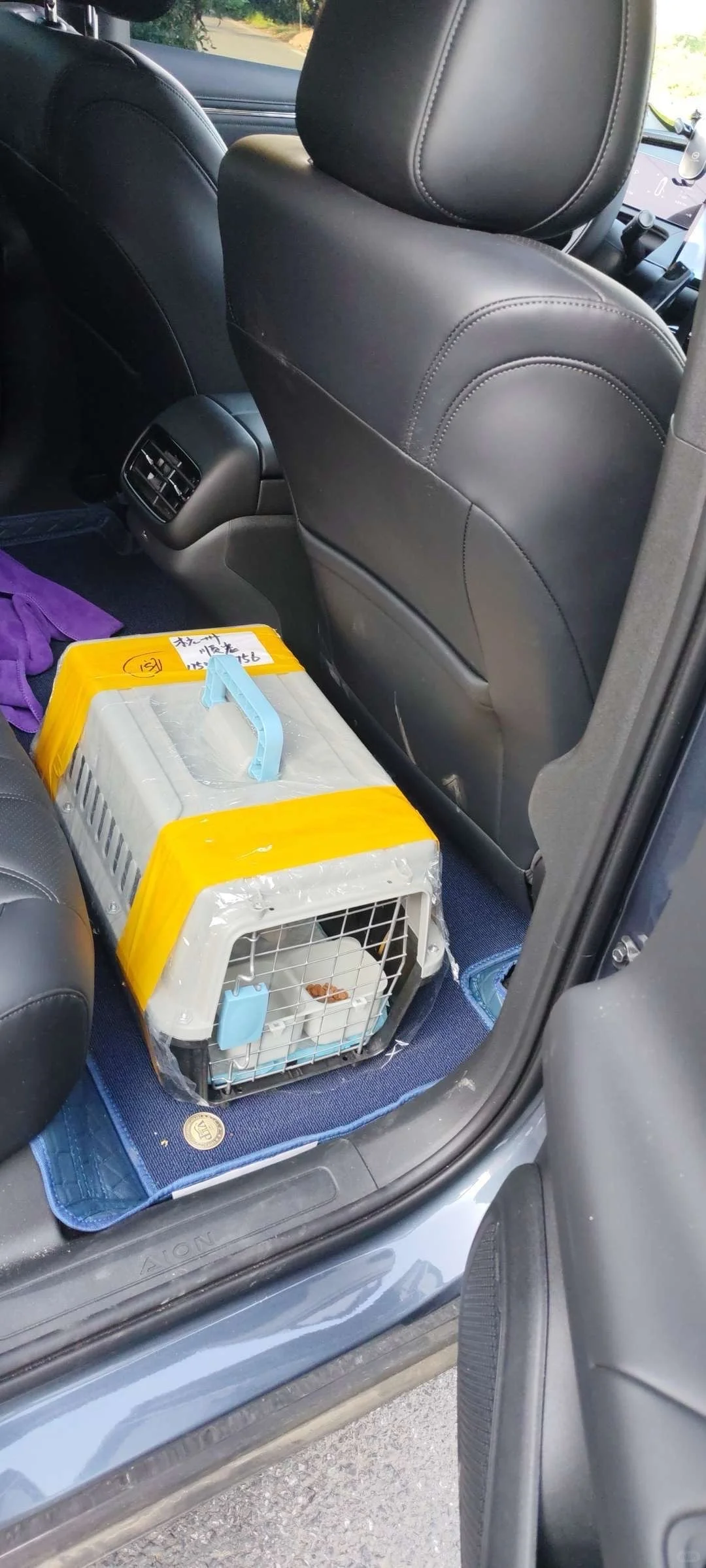 宠物托运被问爆了有多香→千万别在花冤枉钱