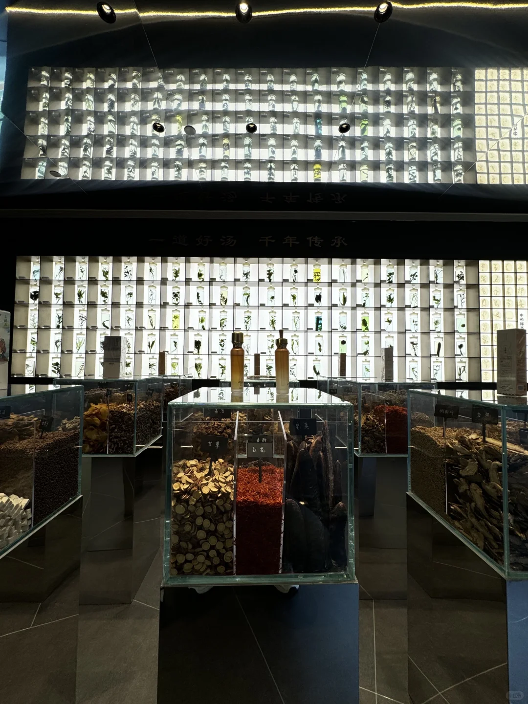 头道汤为什么在国外那么受欢迎???