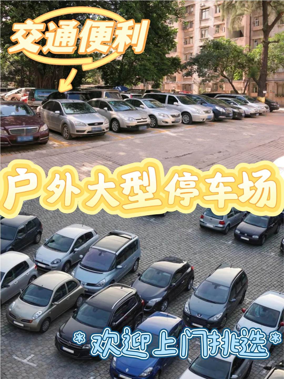 这是一家您绝对会爱上的宠物基地!来看看吧