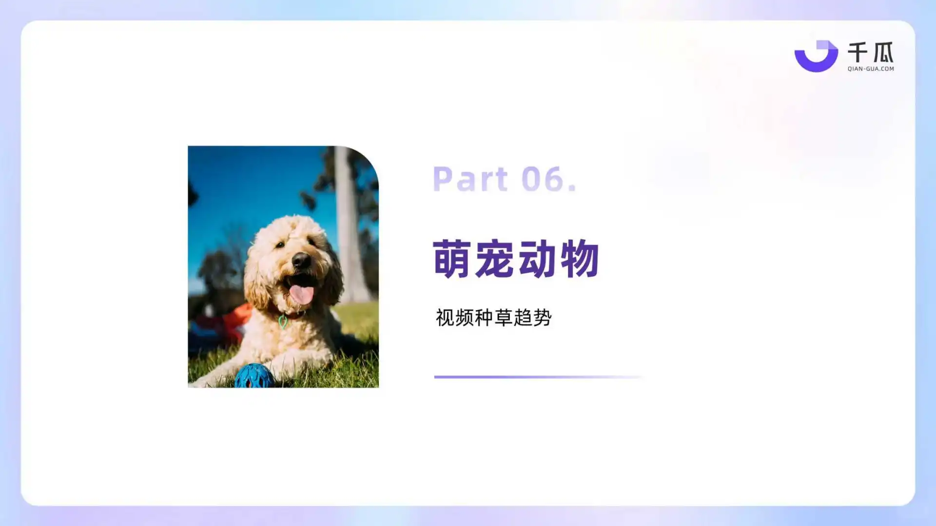 2025年小红书视频笔记种草洞察数据报告