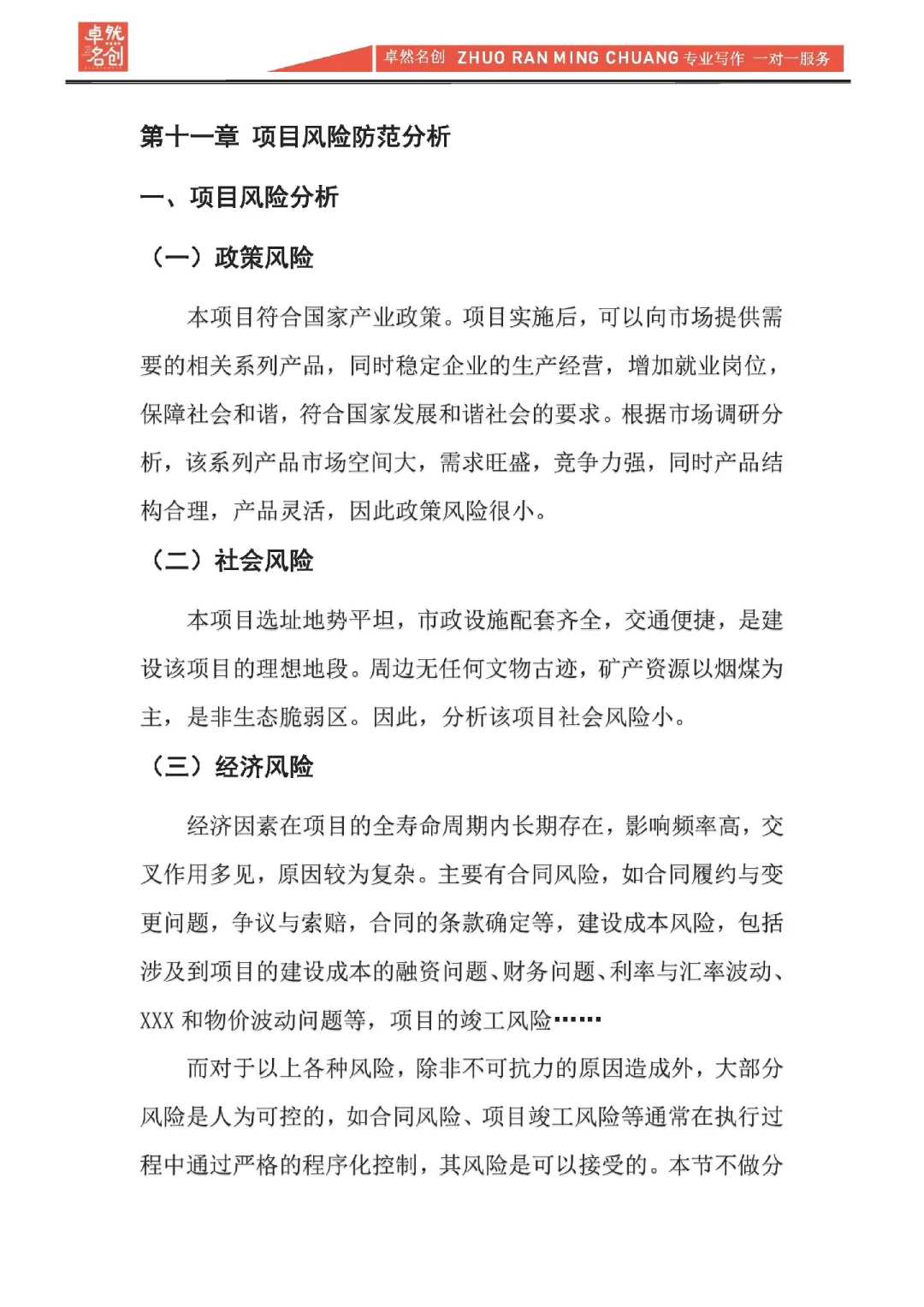 项目融资分析报告，资方看重的要点是什么