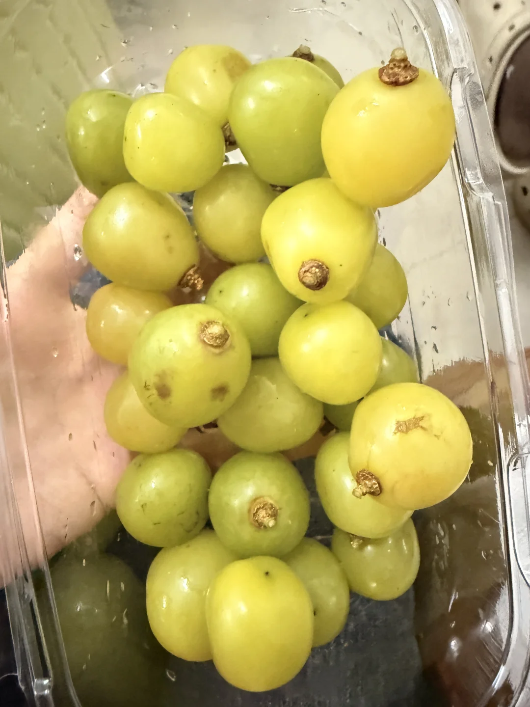 避雷切果NOW!胜太路店！！！！！