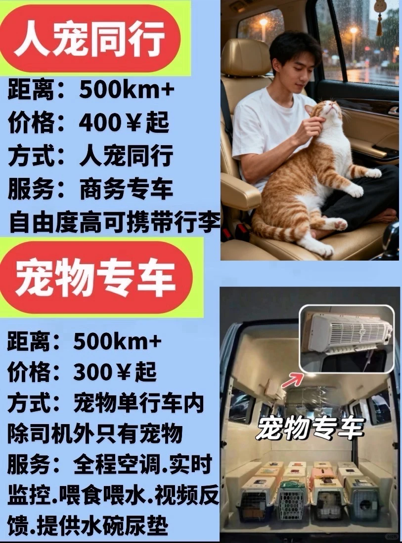 宠物托运被问爆了有多香→千万别在花冤枉钱