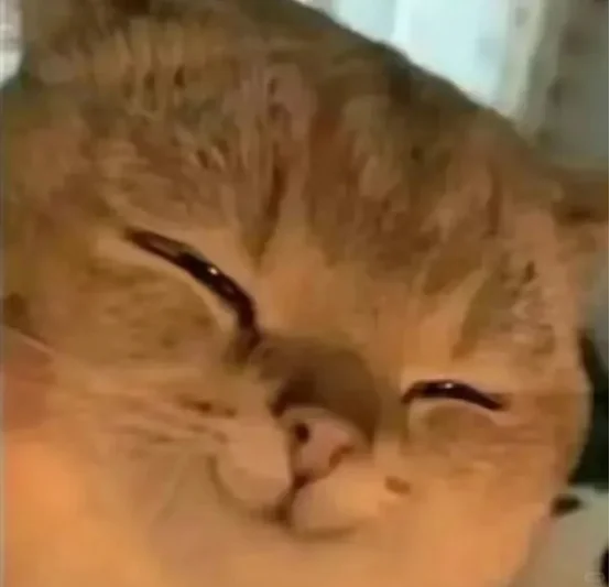 给山东申论开头没墨的的家人一个暗黑偏方