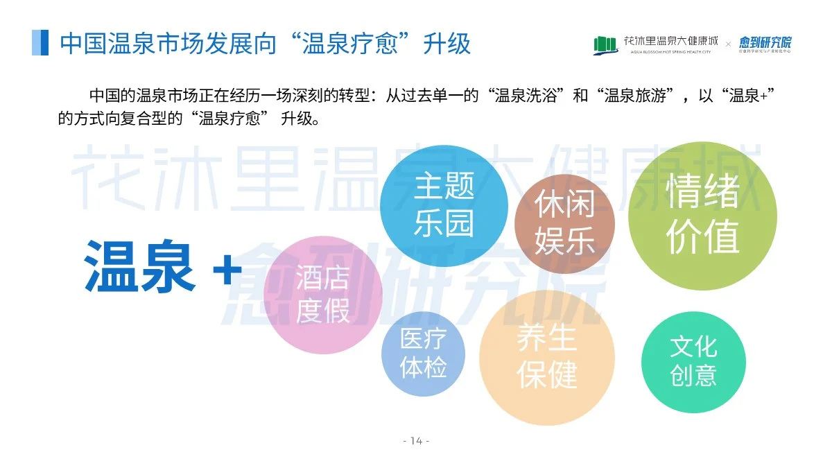 国内首份温泉疗愈蓝皮书(2025)正式发布啦