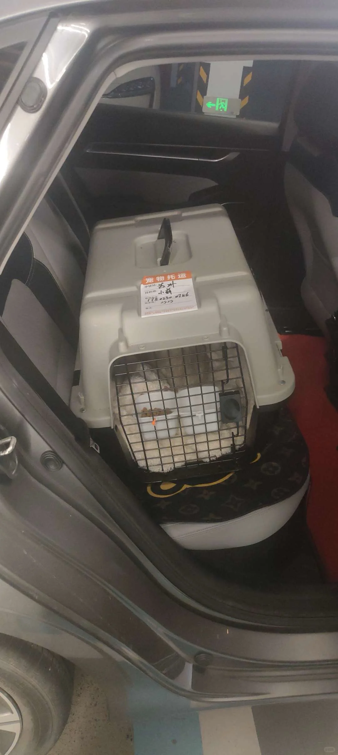 宠物托运被问爆了有多香→千万别在花冤枉钱