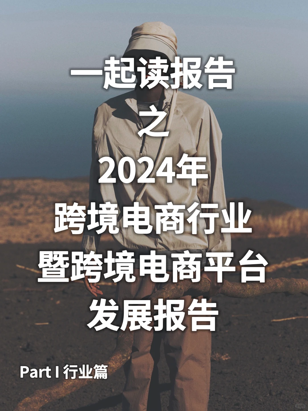 2024年跨境电商行业及平台发展报告