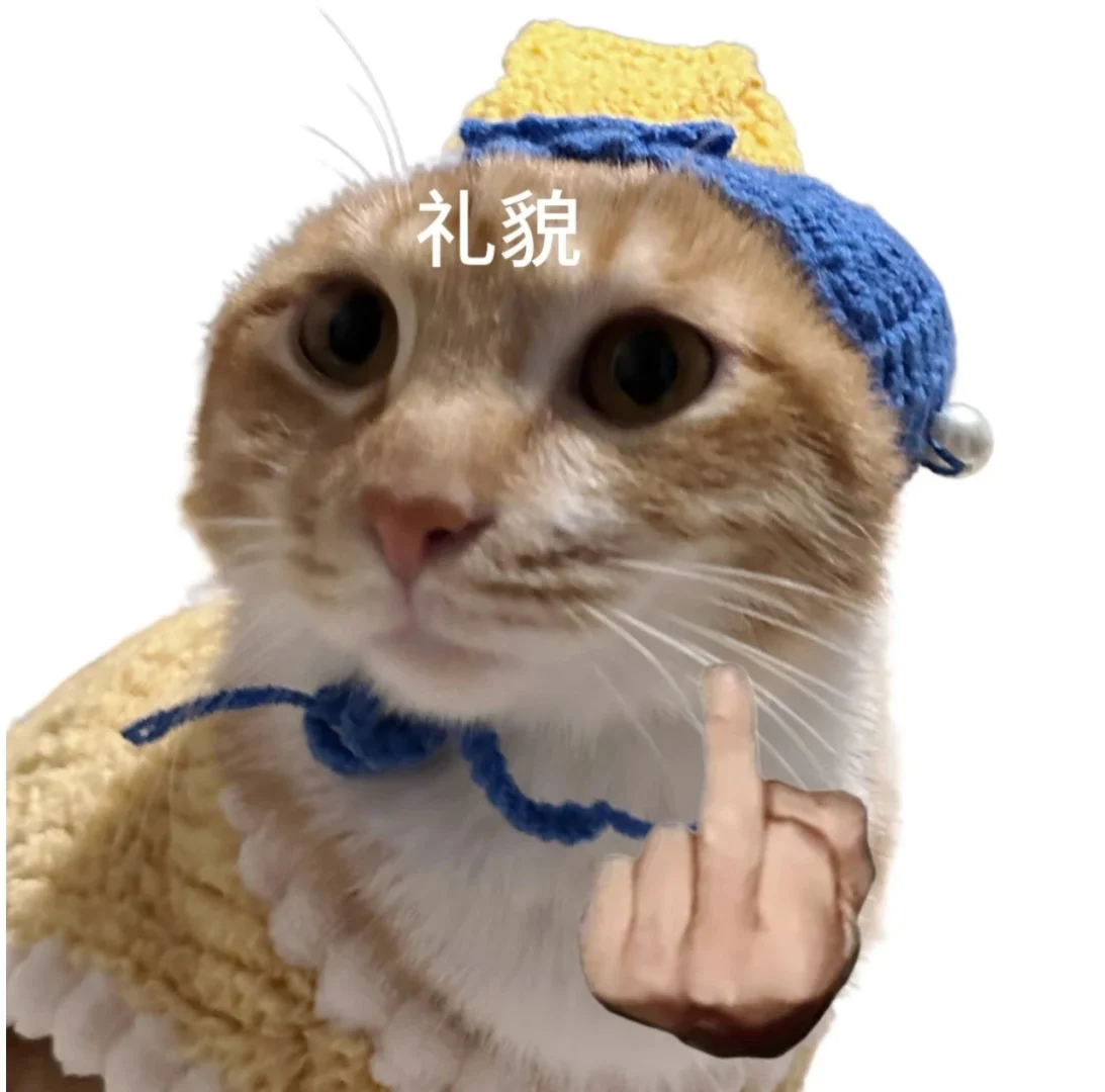 外贸同事格局太小啦