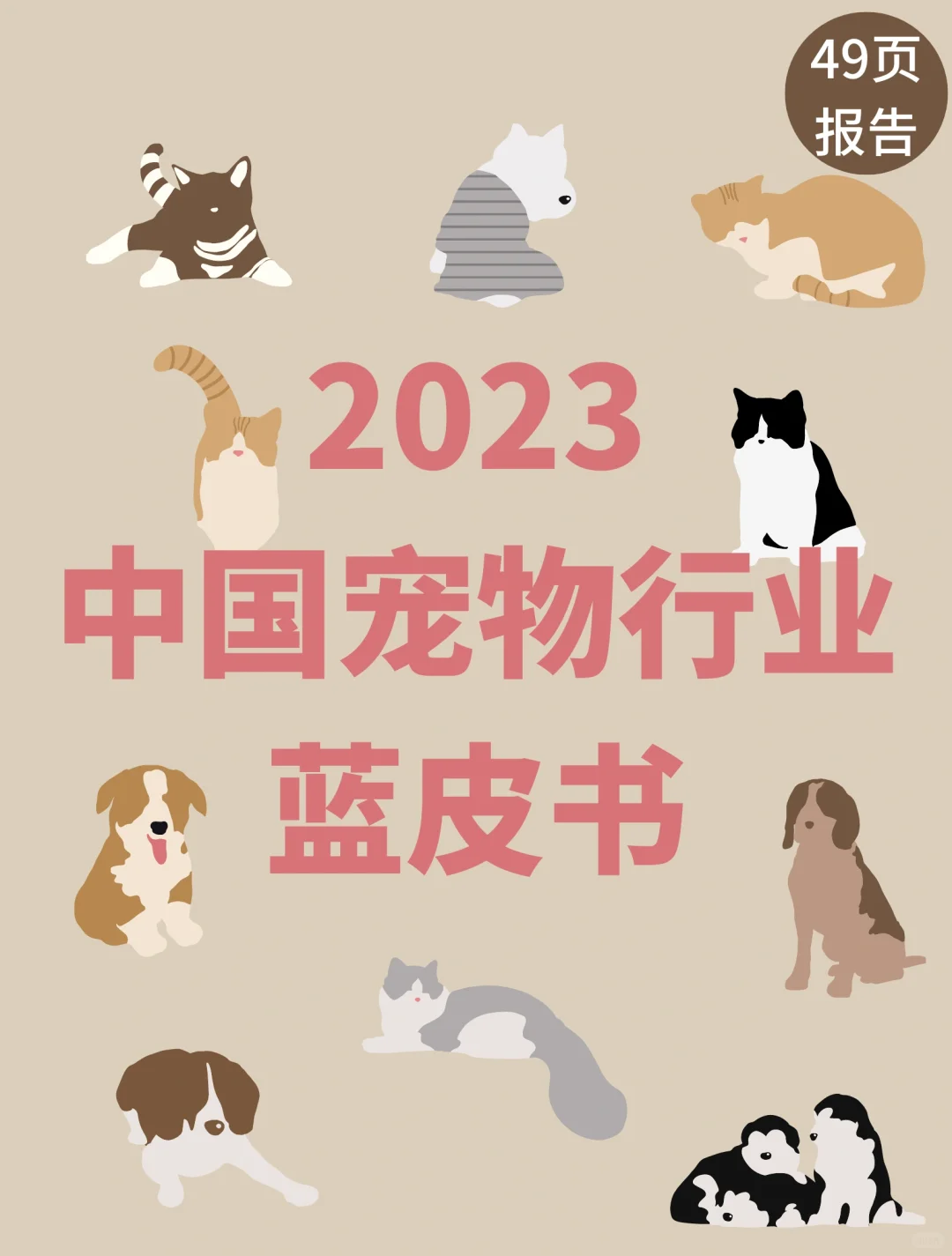 49页报告｜2023中国宠物行业蓝皮书