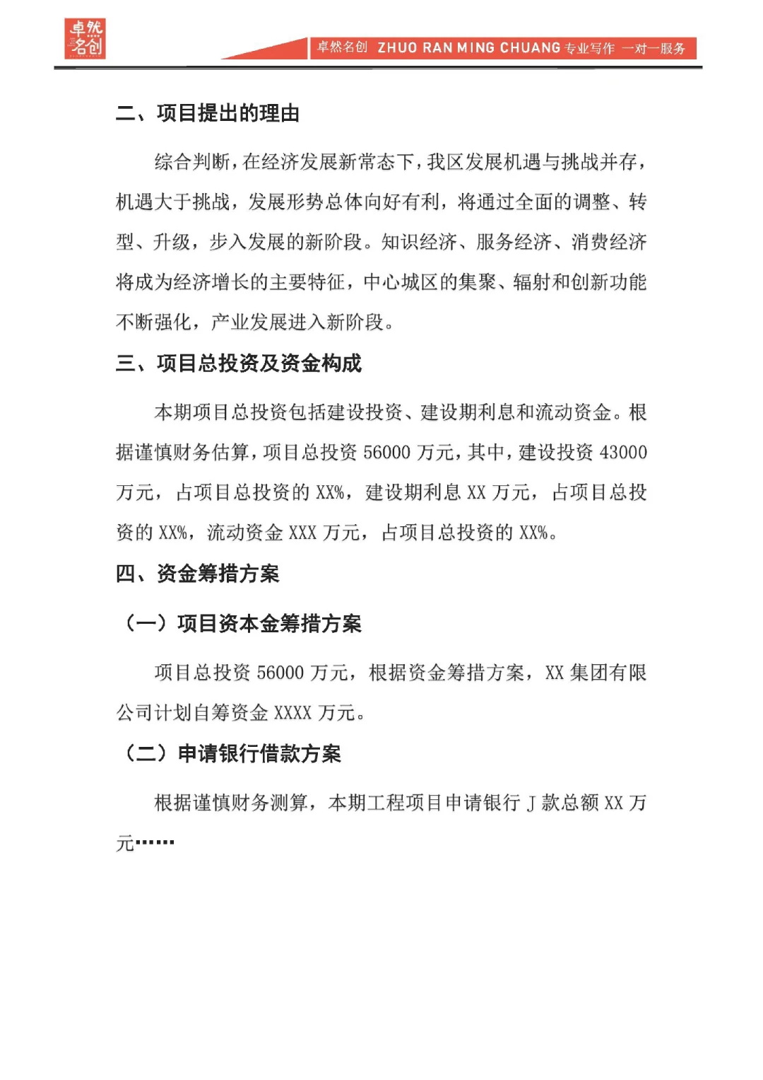 项目融资分析报告，资方看重的要点是什么