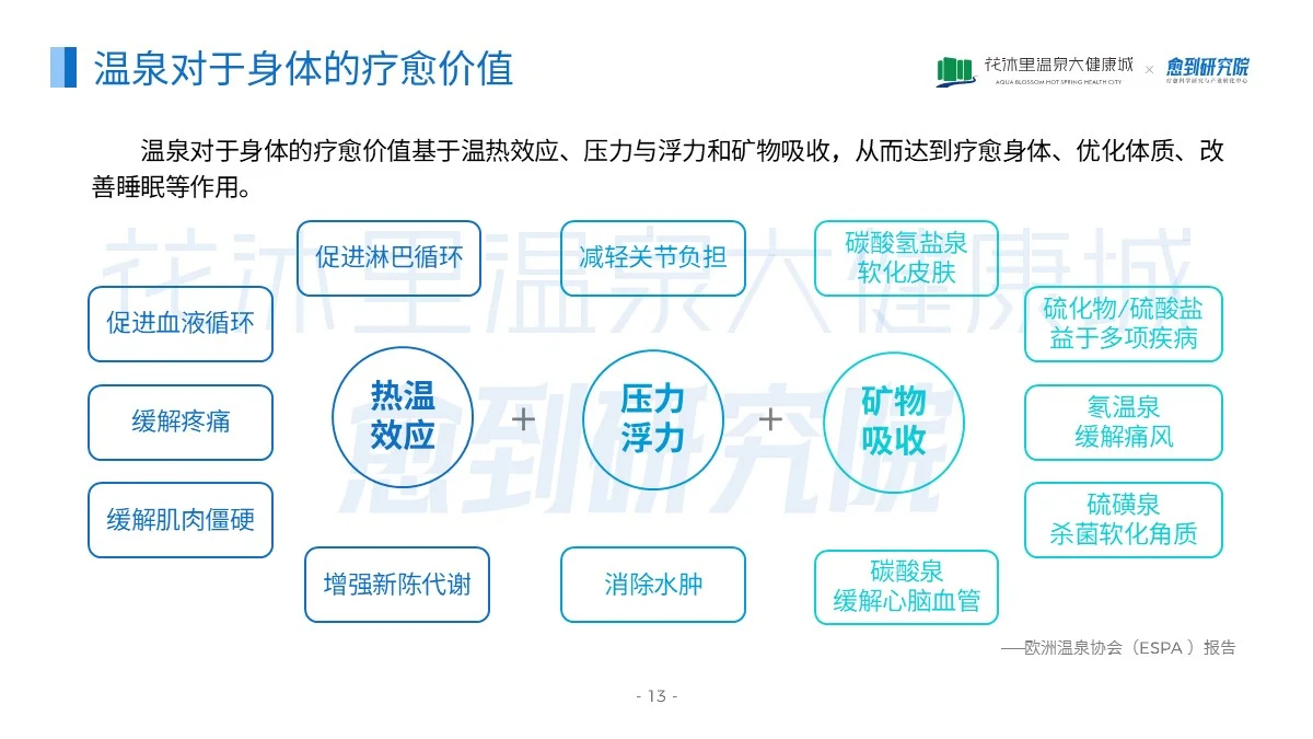 国内首份温泉疗愈蓝皮书(2025)正式发布啦