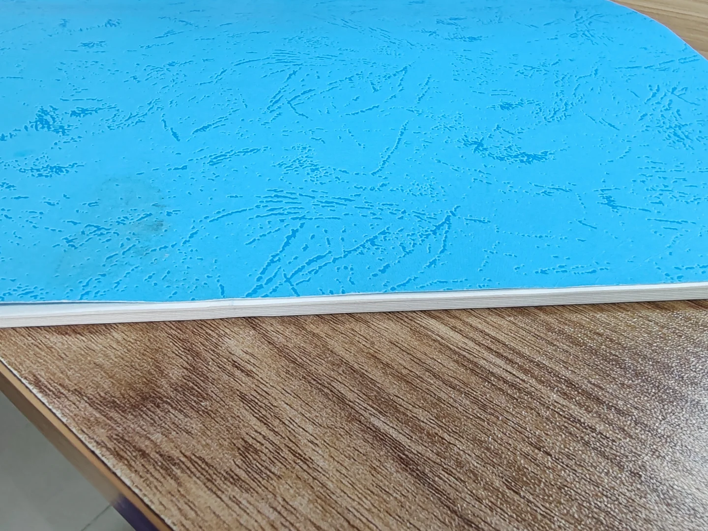 怎么有这么好看的蓝皮书呀‼️