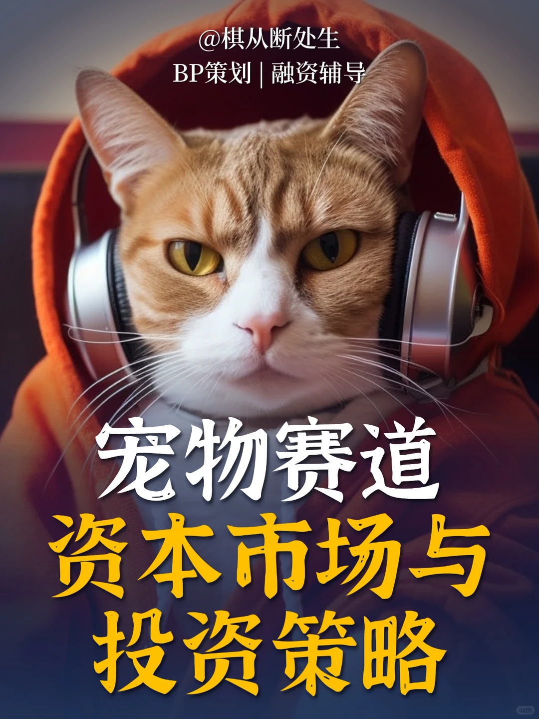 宠物行业赛道：资本市场与投融资策略