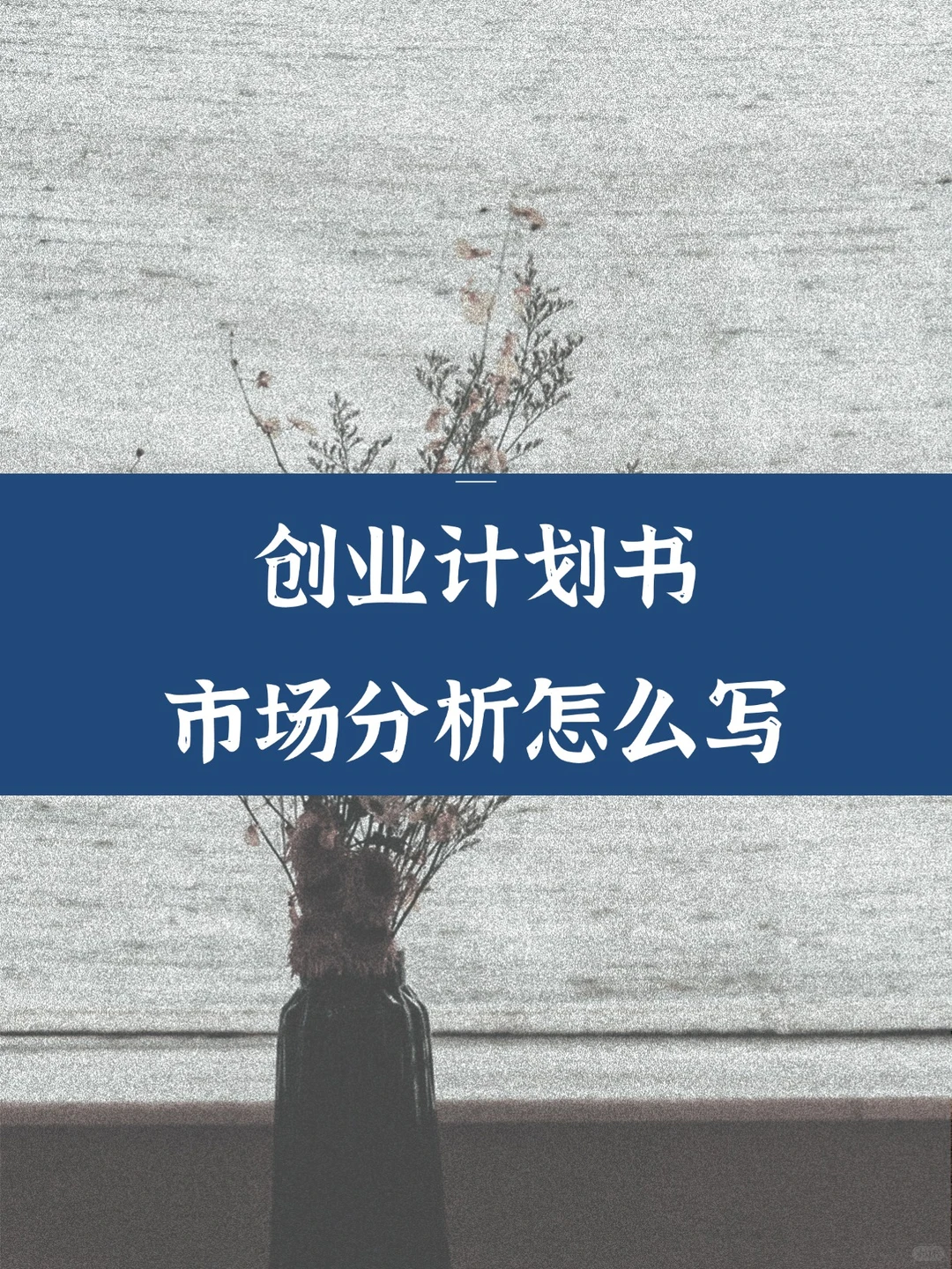 创业计划书市场分析怎么写
