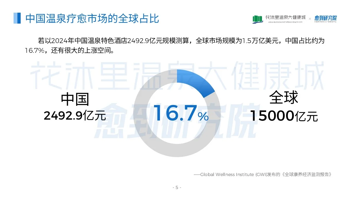 国内首份温泉疗愈蓝皮书(2025)正式发布啦