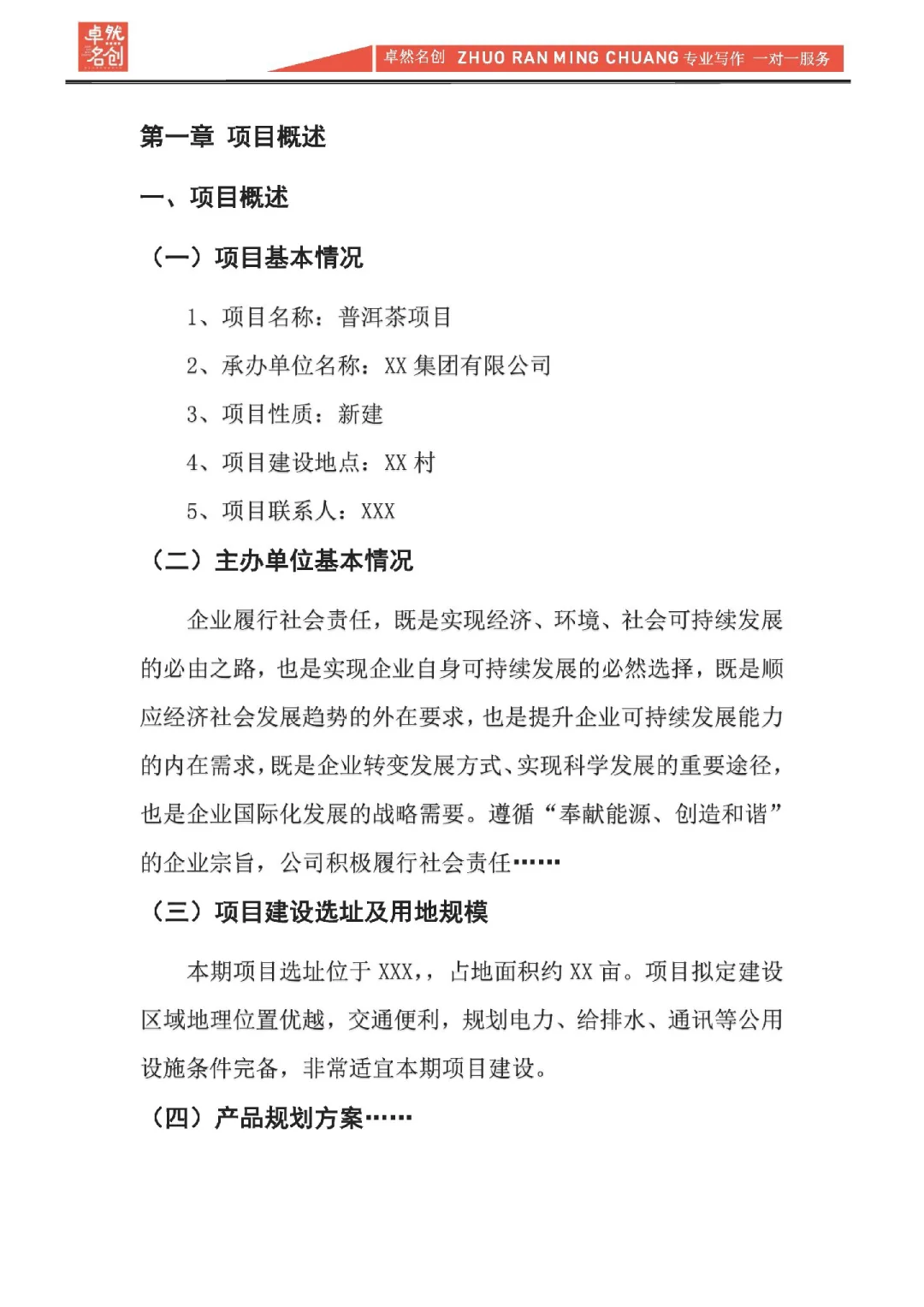 项目融资分析报告，资方看重的要点是什么