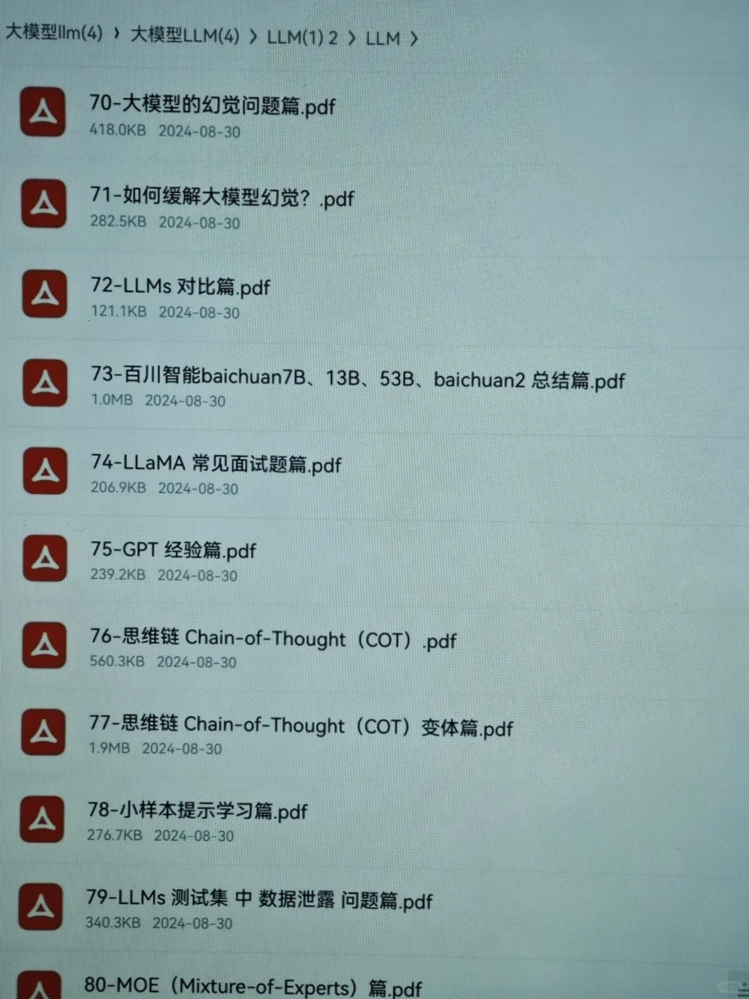 大模型经验，可以给个机会吗？看看大佬说