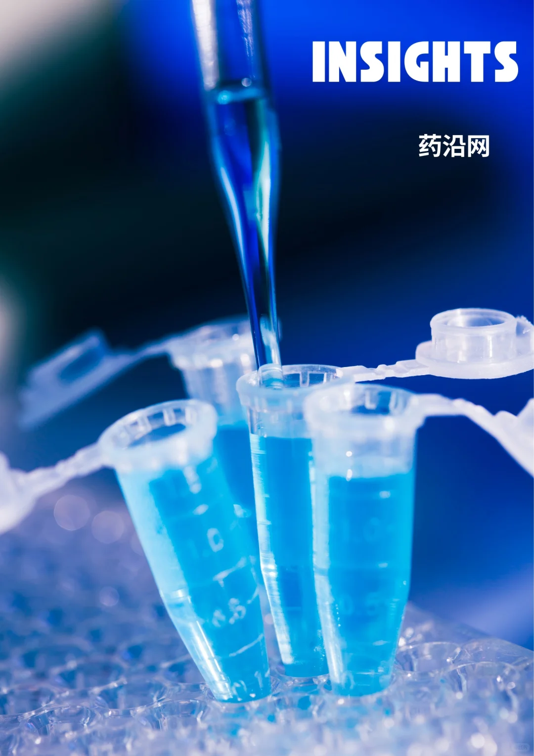 Biotech，消失在2025年