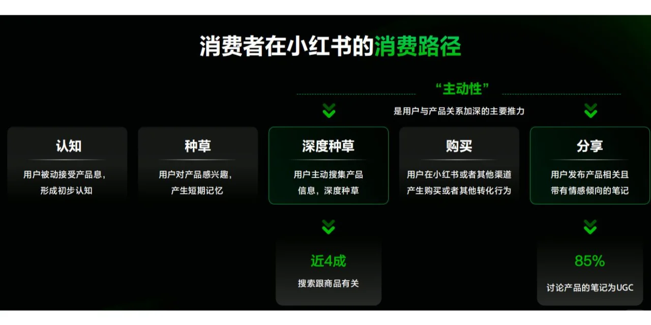 小红书平台消费者洞察/用户分析（15套）
