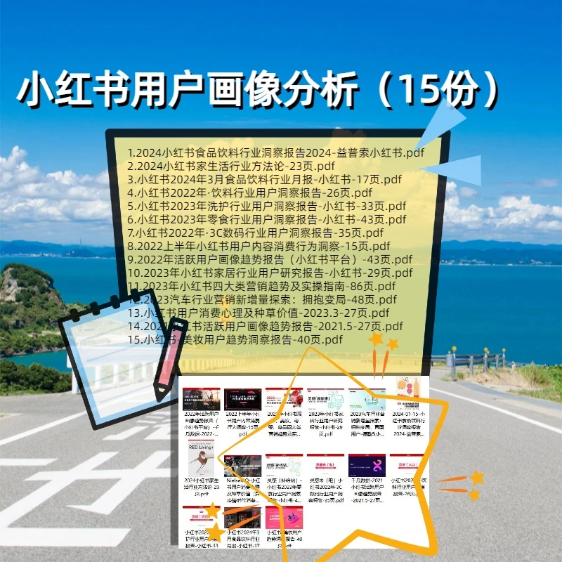 小红书平台消费者洞察/用户分析（15套）